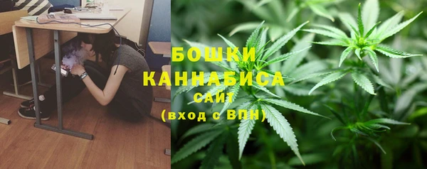 прущие грибы Болхов