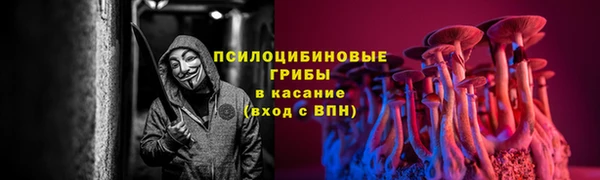 шишки Лагань