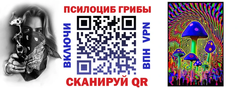 продажа наркотиков  Вилюйск  Псилоцибиновые грибы MAGIC MUSHROOMS 